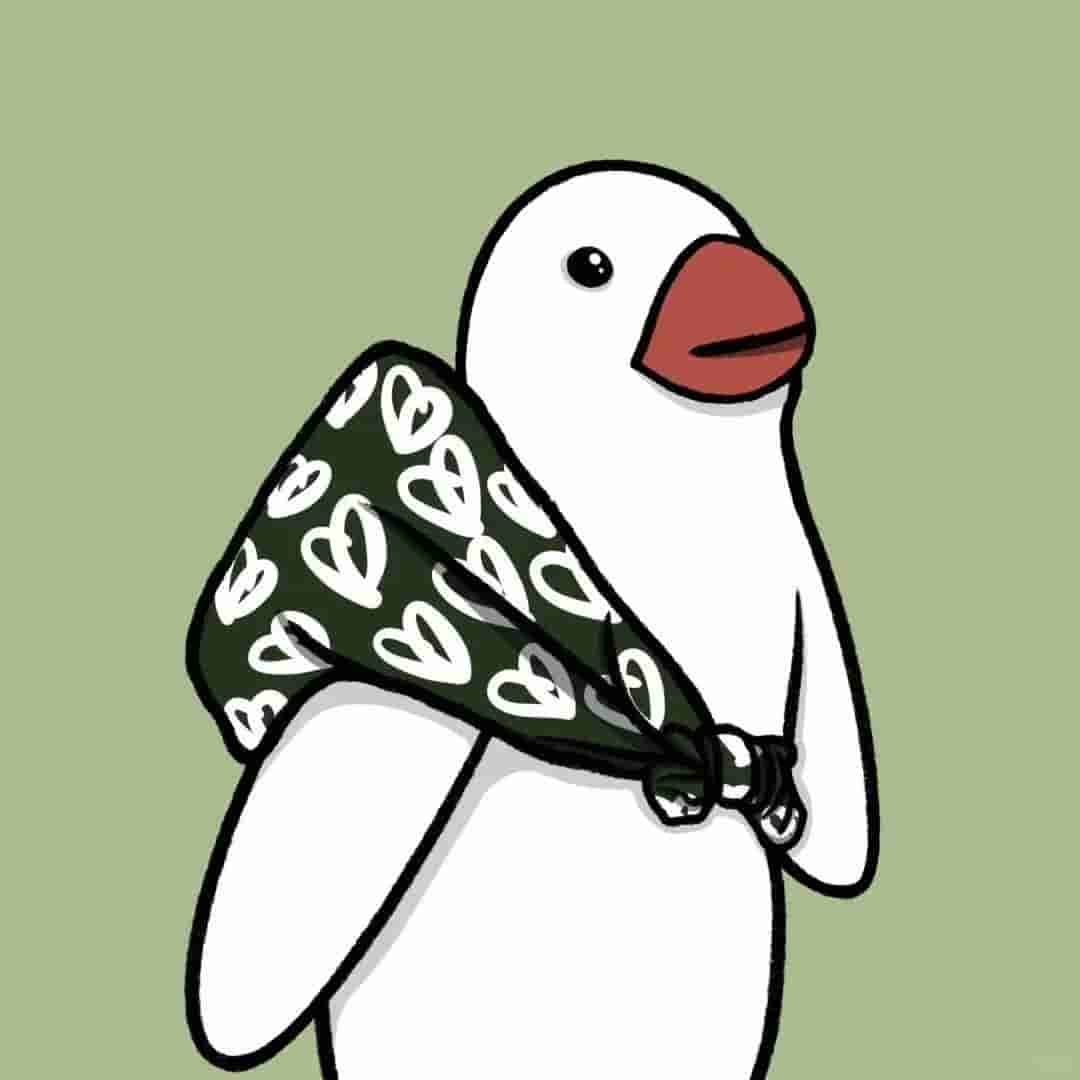 全新45个免费高速节点分享（08月23日更新） | 2025年V2ray/SSR/Clash高速订阅链接